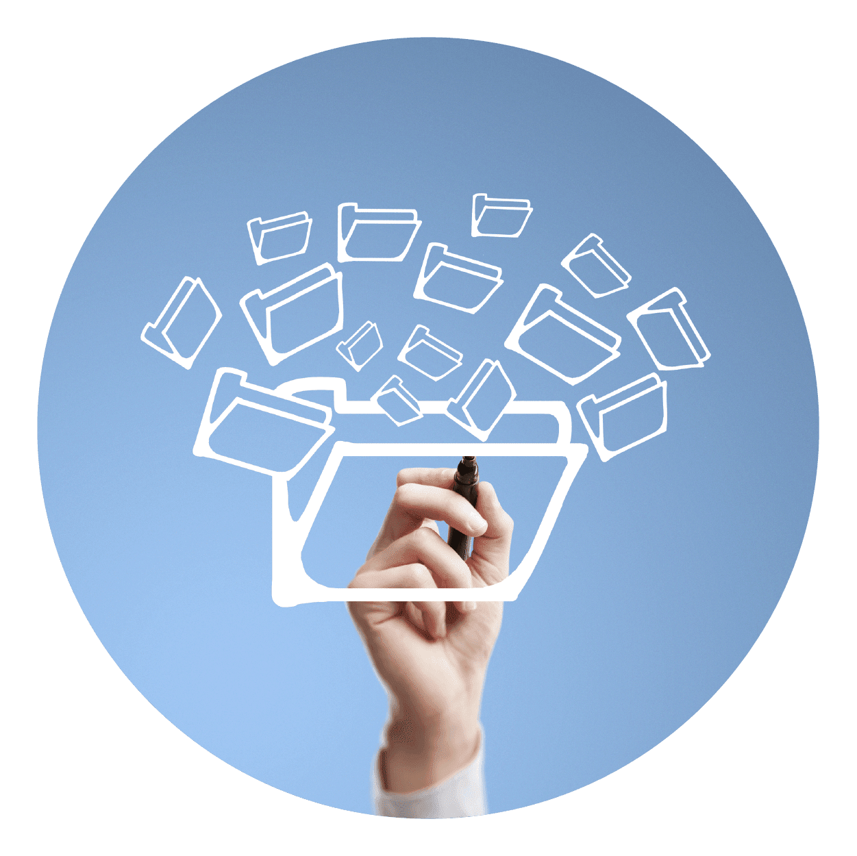 Document Organisation